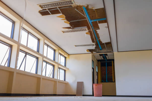 Best Sewage cleanup and water damage restoration  in Sacaton, AZ