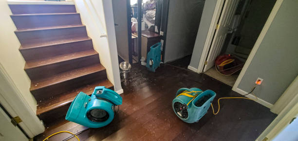 Best Professional water damage repair  in Sacaton, AZ