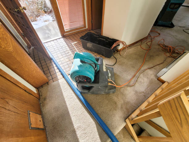 Best Mold removal after water damage  in Sacaton, AZ