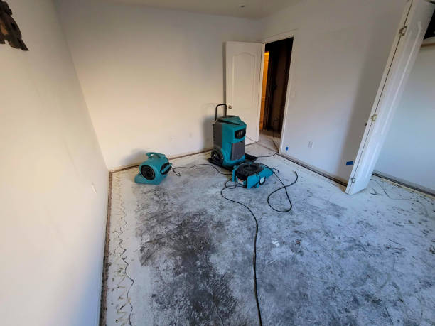 Water damage restoration experts in AZ