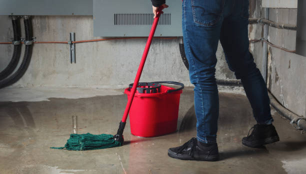 Best Flooded house restoration  in Sacaton, AZ