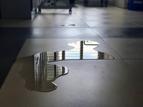 Best Water damage cleanup near me  in Sacaton, AZ