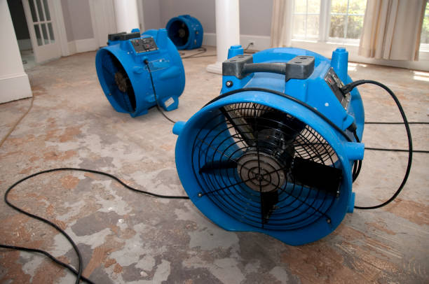 Best Water damage restoration near me  in Sacaton, AZ