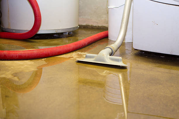Best Fire Damage Restoration  in Sacaton, AZ