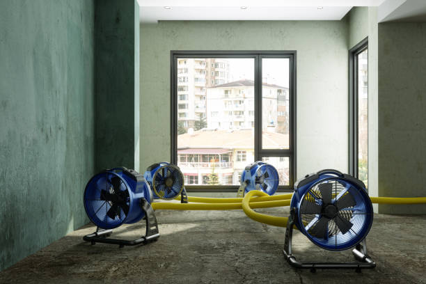 Best Commercial water damage restoration  in Sacaton, AZ