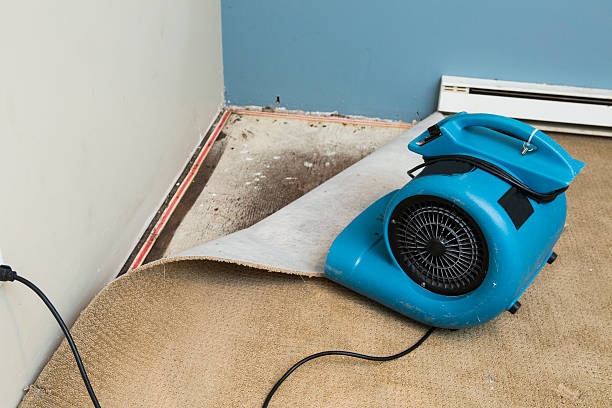 Best Residential water damage restoration  in Sacaton, AZ